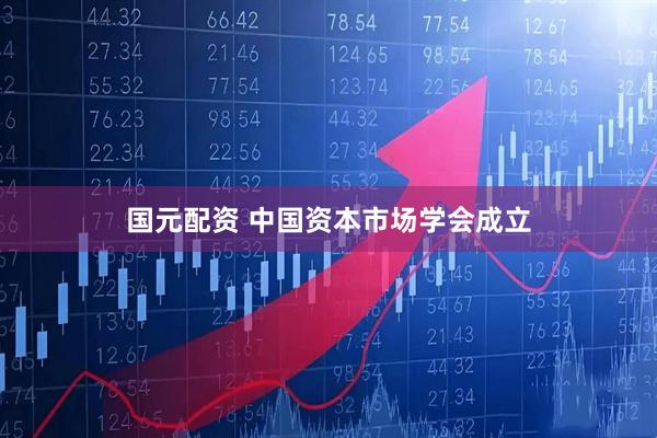 国元配资 中国资本市场学会成立